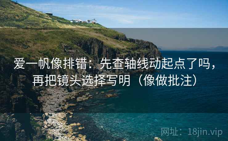 爱一帆像排错：先查轴线动起点了吗，再把镜头选择写明（像做批注）